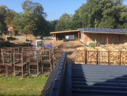 Brennholz vom Forstbetrieb Wilke